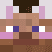 Skin de HttqSebas