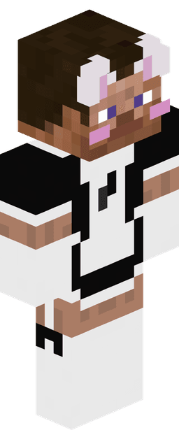 Skin de HttqSebas